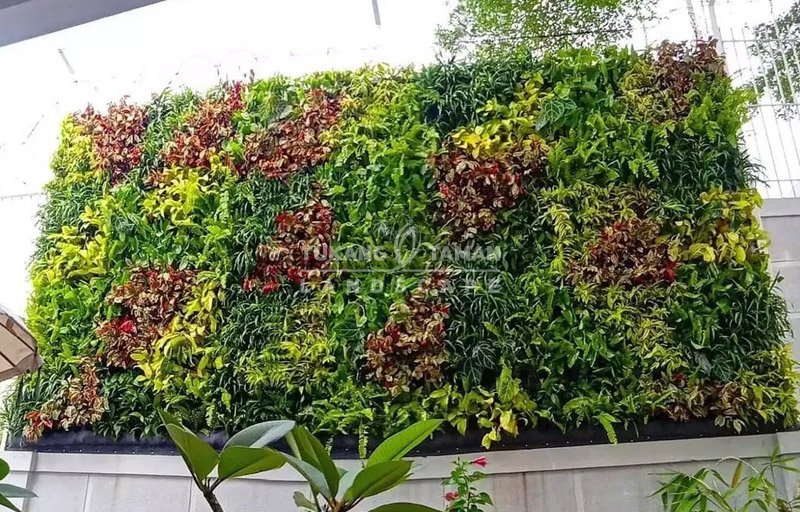 Jasa Vertical Garden Gunung Putri