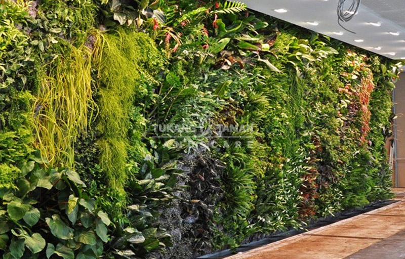 Jasa Vertical Garden Cikarang