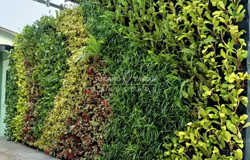 Jasa Vertical Garden Sunter