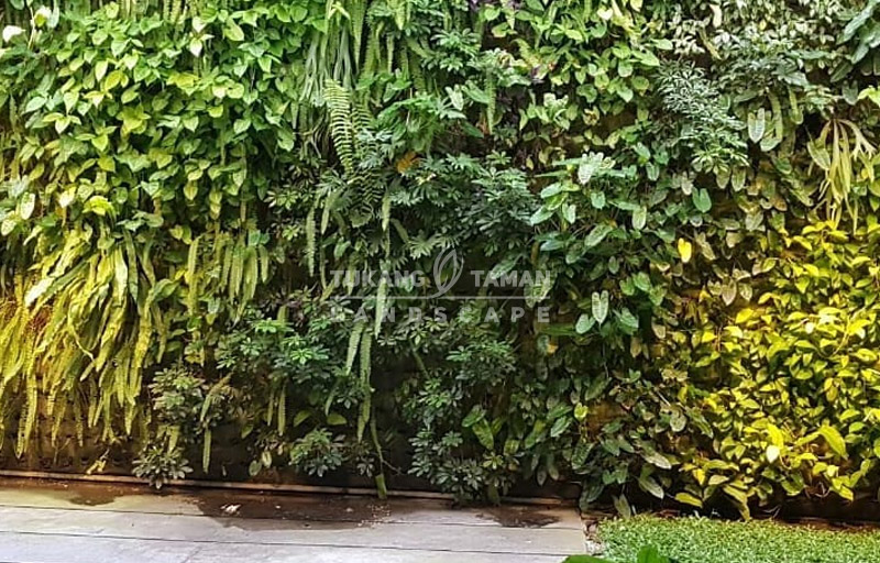 Jasa Vertical Garden Cengkareng