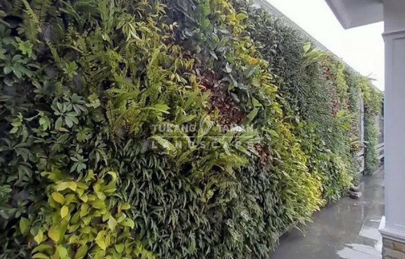 Jasa Vertical Garden Cikokol