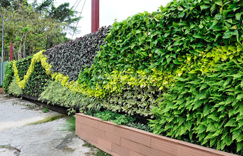 Jasa Vertical Garden Parung