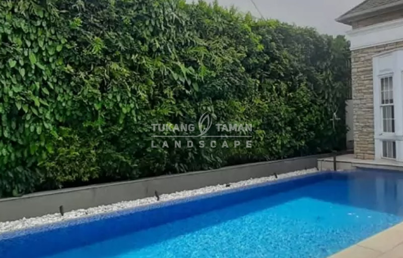 Jasa Pembuatan Taman Senayan